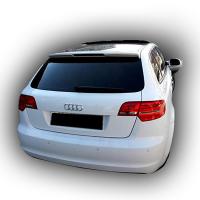 Audi A3 HB 2006 - 2012 Tek Kapı Spoiler Boyalı