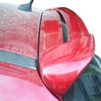 Citroen C3 Spoiler Boyalı