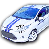 Ford Fiesta 2009 - 2013 St Line Ön Ek Plastik Boyasız