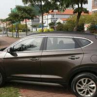 Hyundai Tucson 2015-2020 Cam Çıtası Nikelaj 16 Parça