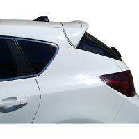 Opel Astra J HB Küçük Anatomik Spoiler Boyalı