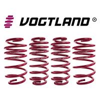 Bmw 3 G20, type G3L, Sedan, 2WD, 318d, 320d, 320i, 330i Vogtland Spor Yay ( 40MM Alçaltma )